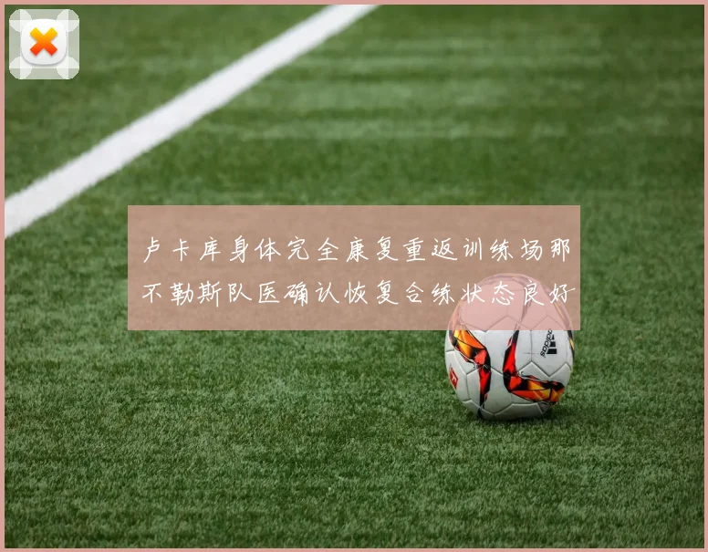 卢卡库身体完全康复重返训练场那不勒斯队医确认恢复合练状态良好
