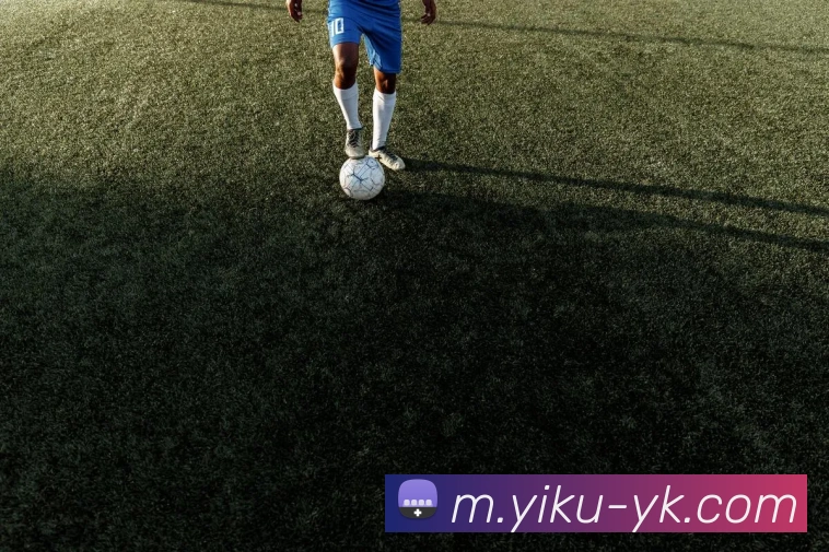 奖项证书
